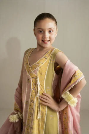 Sunshine Chunari Anarkali with Crushed Azaar - Rtd