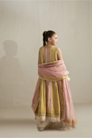 Sunshine Chunari Anarkali with Crushed Azaar - Rtd