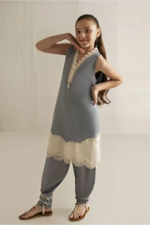 Powder Blue Embroidered Net Suit