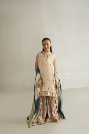 Beige Daman Shirt with Block Gharara Set