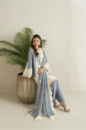 Sky Mist Embroidered Suit