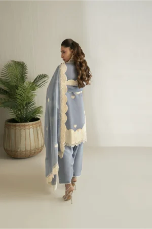 Sky Mist Embroidered Suit