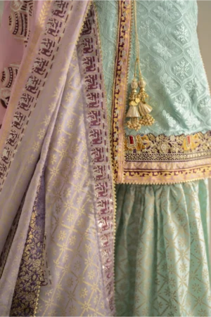 Mint Mirage Lehenga Set