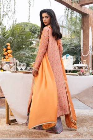 Orange Garden