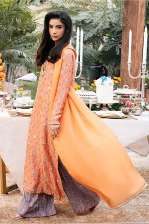 Orange Garden
