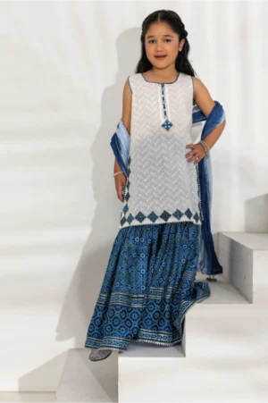 Indigo Ajrak Gharara