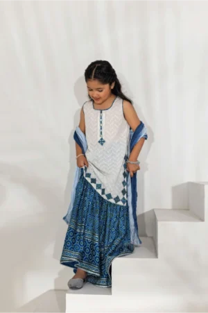 Indigo Ajrak Gharara