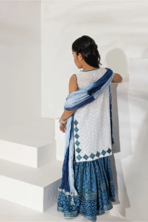 Indigo Ajrak Gharara