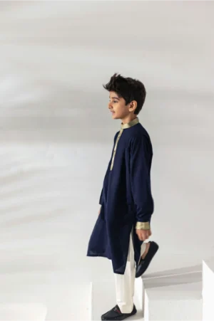 Navy Banarasi Kurta