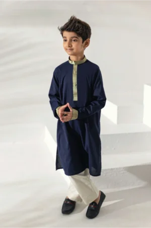 Navy Banarasi Kurta