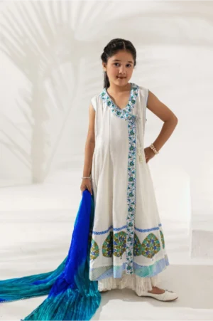 Ivory Peacock Anarkali