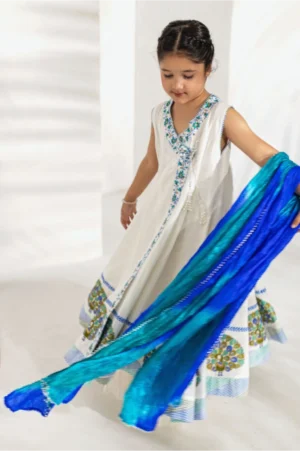 Ivory Peacock Anarkali