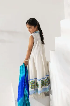 Ivory Peacock Anarkali
