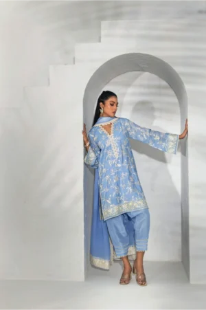 Powder Blue Floral Threadwork Kurta Set