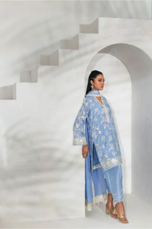 Powder Blue Floral Threadwork Kurta Set