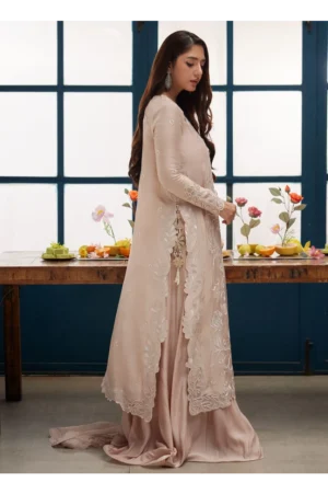Remy Shirt And Dupatta