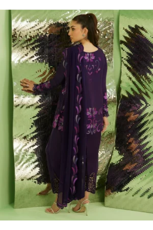 Noir Aubergine Shirt With Drape Dupatta And Pants