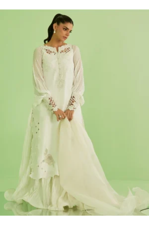 Briar Shirt and Dupatta