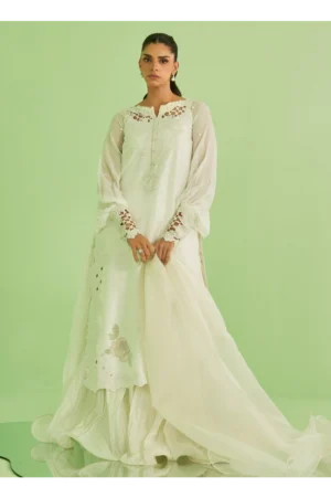 Briar Shirt and Dupatta
