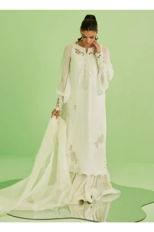 Briar Shirt and Dupatta