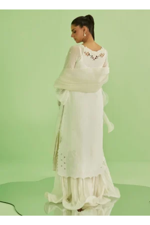 Briar Shirt and Dupatta