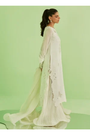 Briar Shirt and Dupatta