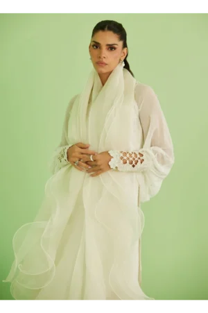 Briar Shirt and Dupatta