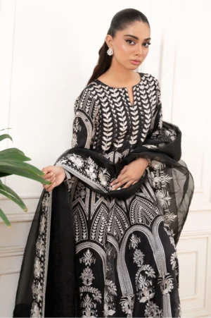 Anarya (Shirt and dupatta)