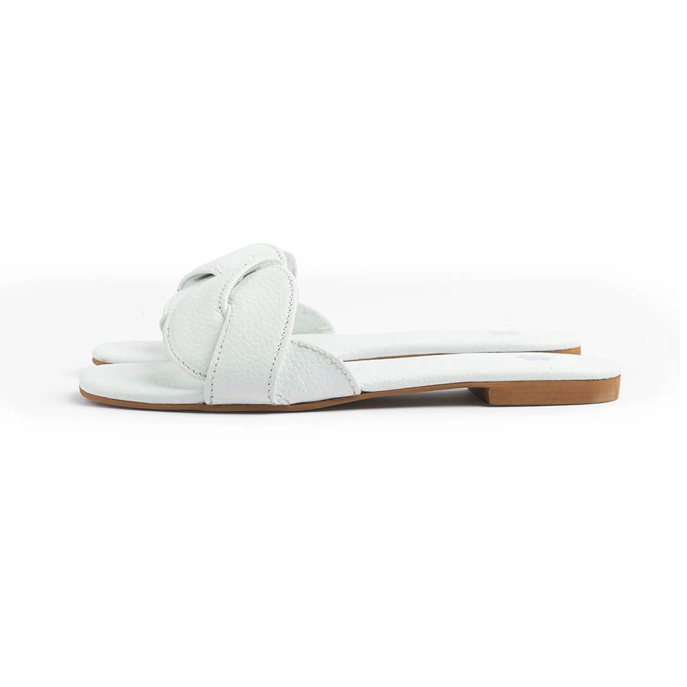 ANI WHITE - Image 4