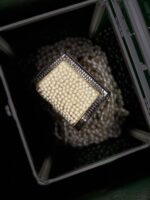 antique pearls gem clutches - Treasure World