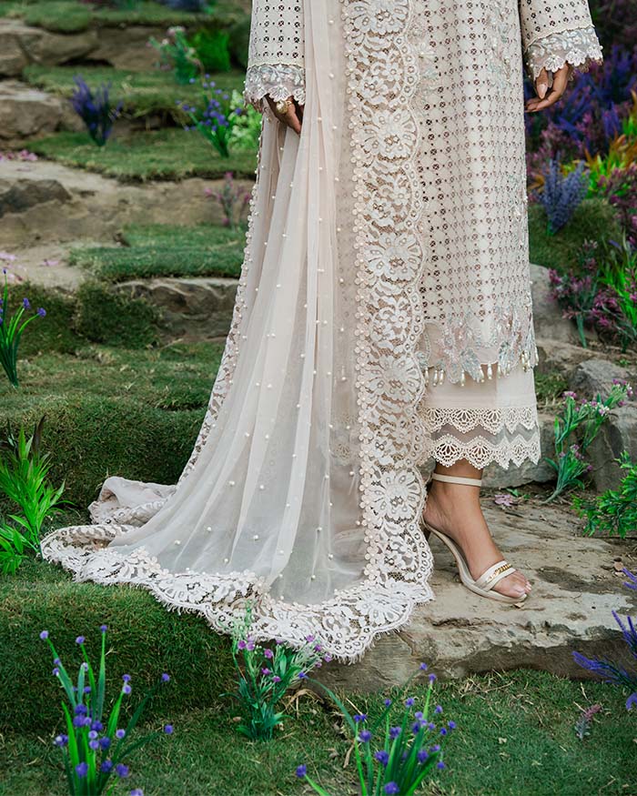 ASEEL - Image 2