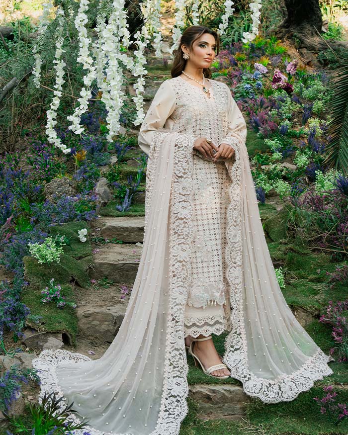 ASEEL - Image 5
