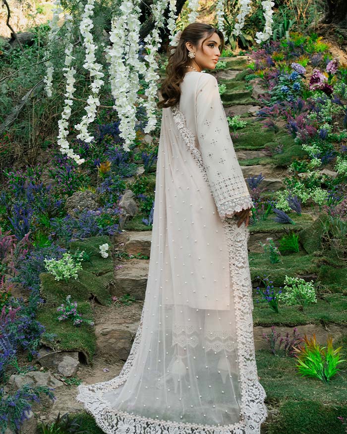 ASEEL - Image 6