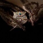 Bloom Baby silver Mini Clutch - Treasure World