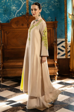 Celosia Shirt and Dupatta with Modern Styling | AJ