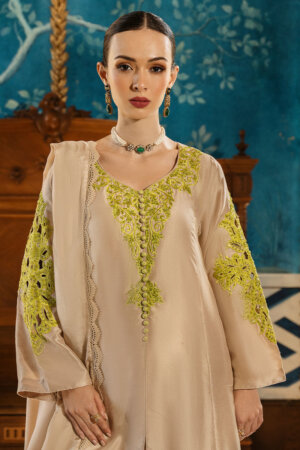 Celosia Shirt and Dupatta with Modern Styling | AJ
