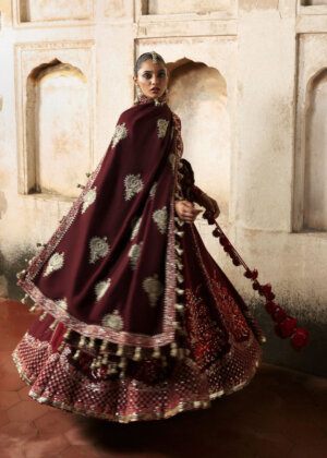 Daniya Veil