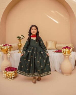 Emarald Aura Frock - Girl