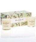 Jasmine & Lotus, White Champa Medium Duo