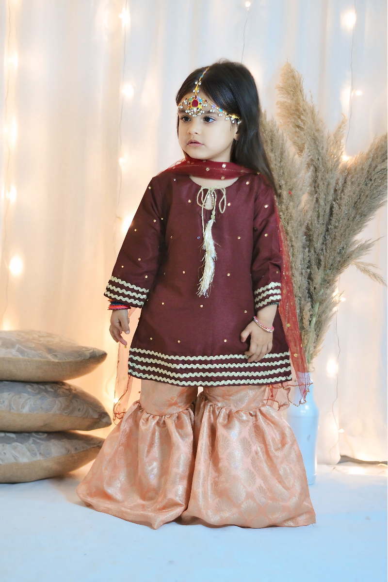 Mom4Little - Maroon Gharara Set - Silk & Janawar with net - 3 Piece - Image 4