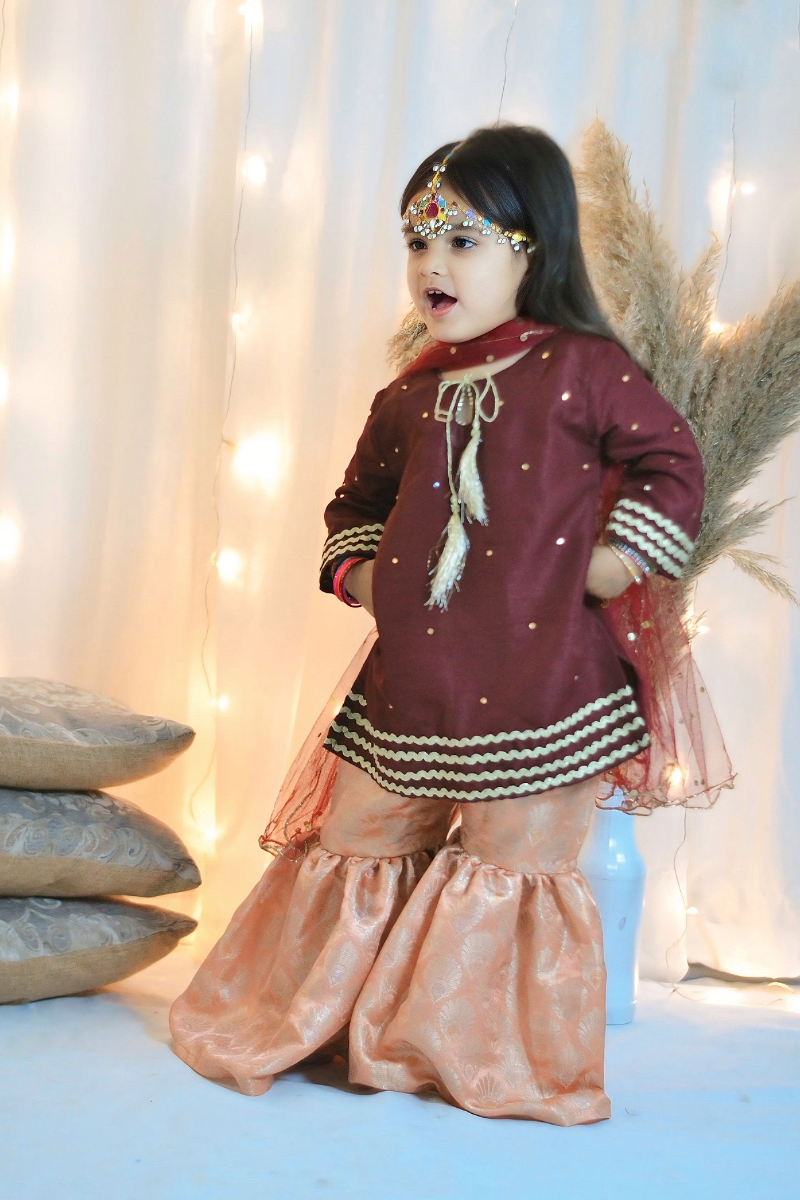 Mom4Little - Maroon Gharara Set - Silk & Janawar with net - 3 Piece - Image 5