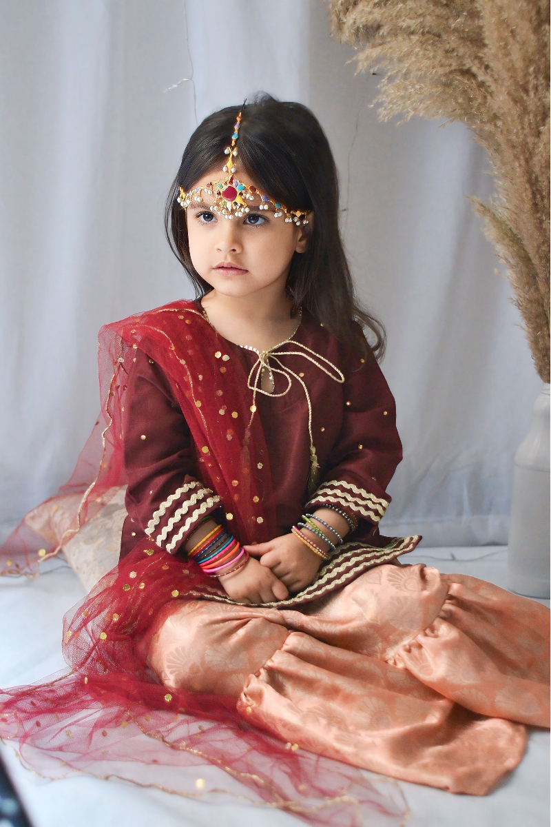 Mom4Little - Maroon Gharara Set - Silk & Janawar with net - 3 Piece - Image 6