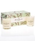 Oudh ul Laila & Bakhoor and Amber Medium Duo