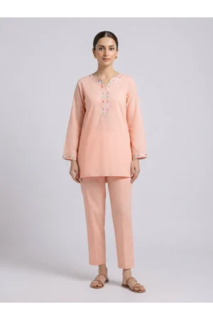 Pastel Peach 2-Piece Set with Multicolored Kantha Stitch Embroidery - Rtd