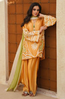 Raiya ( Shirt and Dupatta) - Image 4