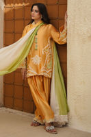 Raiya ( Shirt and Dupatta) - Image 5