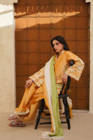 Raiya ( Shirt and Dupatta) - Image 7