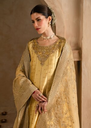 Roohi