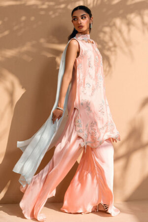 Blush Rose