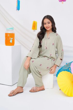 Boski Linen Embroidered 2 Pc Suit